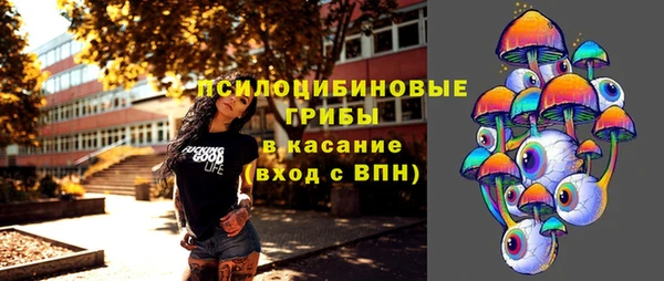 сатива Абинск
