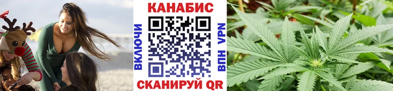 Шишки марихуана семена  Тимашёвск 